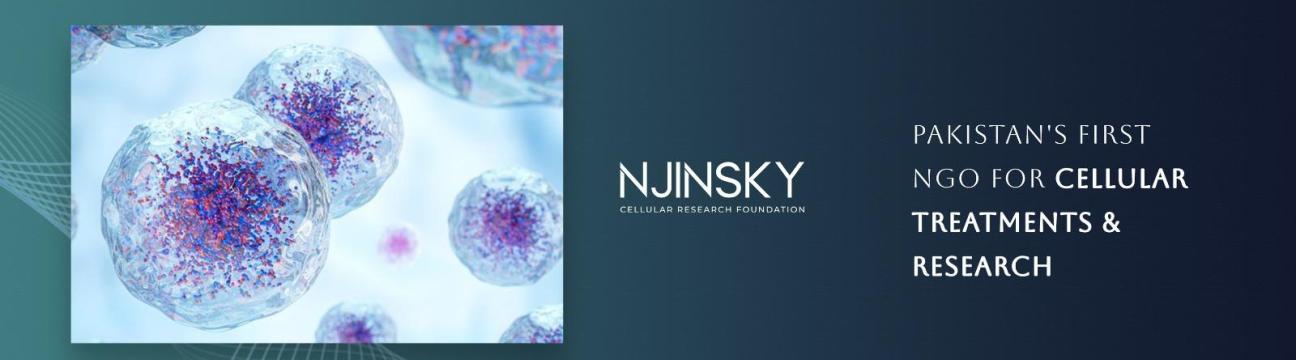 Njinsky Foundation