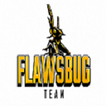 Flaws Bug Tech