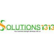 Solutions 1313
