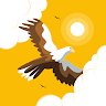 Skywize Aviation