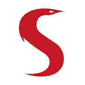 Serpent Consulting
